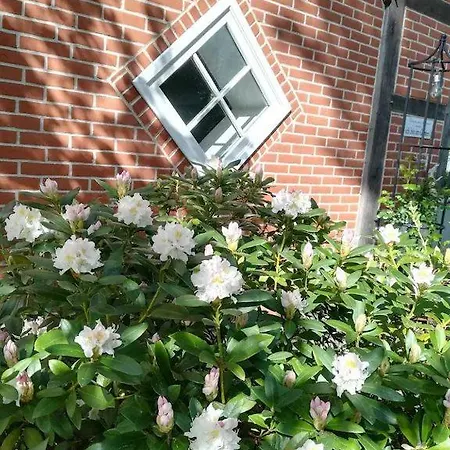 In Ruhiger Wohnlage Sie Sind In 3 Minuten Am Trebbower Oder In 30 Minuten An Der Ostsee *