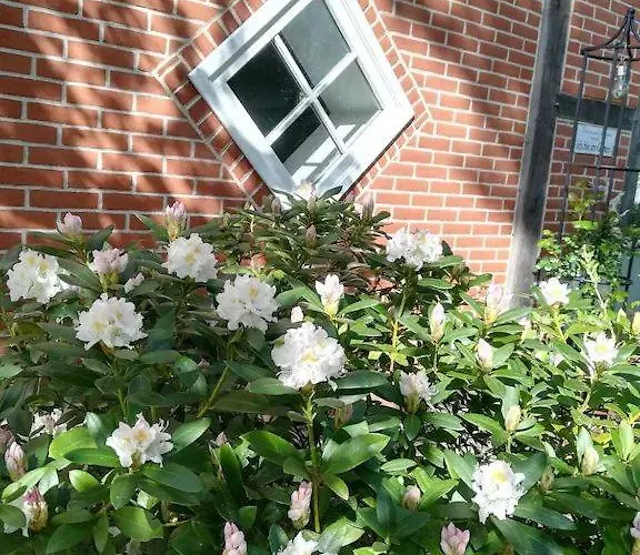 In Ruhiger Wohnlage Sie Sind In 3 Minuten Am Trebbower Oder In 30 Minuten An Der Ostsee *